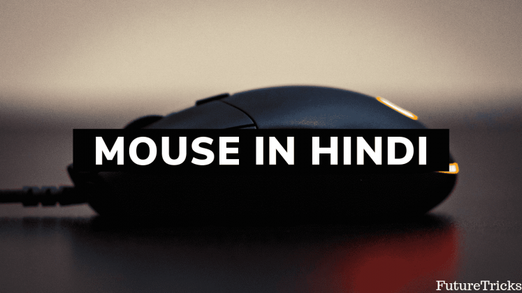 माउस क्या है - What Is Mouse In Hindi